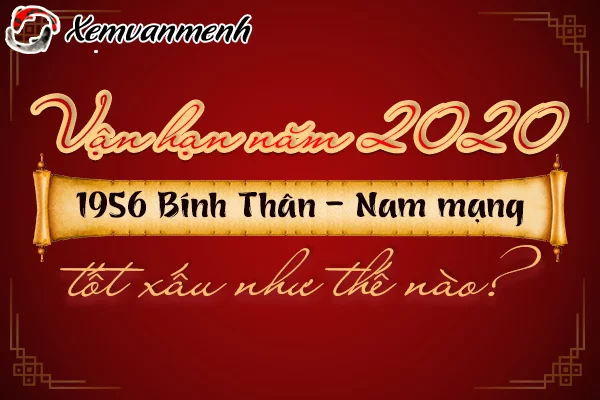 1956-van-han-tuoi-binh-than-nam-2020-nam-mang