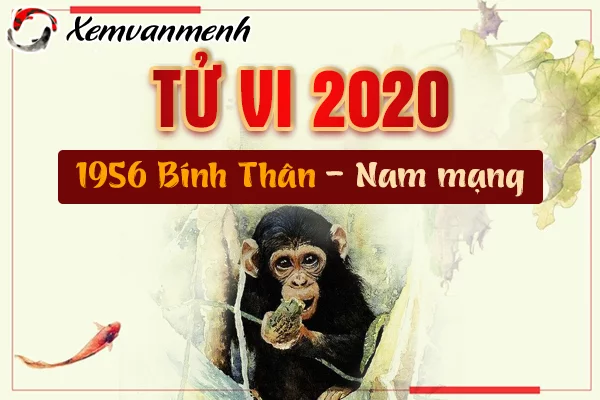1956-xem-tu-vi-tuoi-binh-than-nam-2020-nam-mang