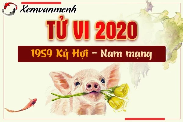1959-xem-tu-vi-tuoi-ky-hoi-nam-2020-nam-mang