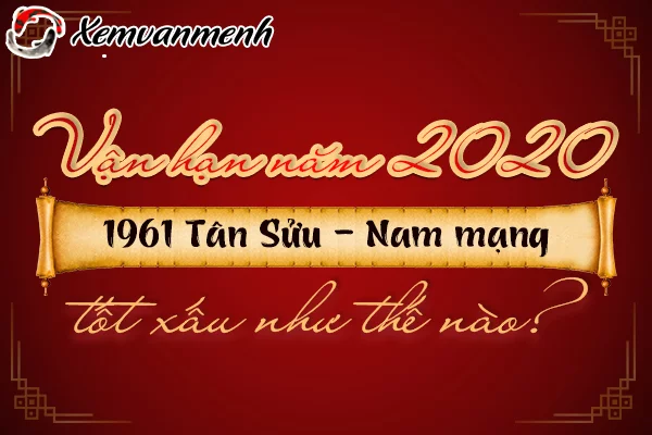 1961-van-han-tuoi-tan-suu-nam-2020-nam-mang