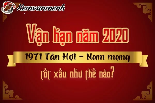 1971-van-han-tuoi-tan-hoi-nam-2020-nam-mang