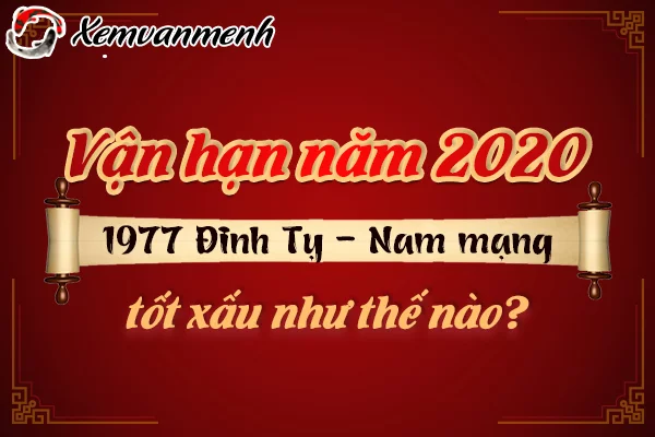 1977-van-han-tuoi-dinh-ty-nam-2020-nam-mang