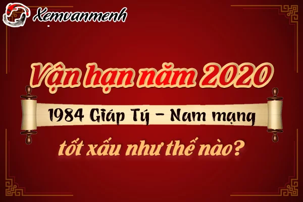 1984-van-han-tuoi-giap-ty-nam-2020-nam-mang
