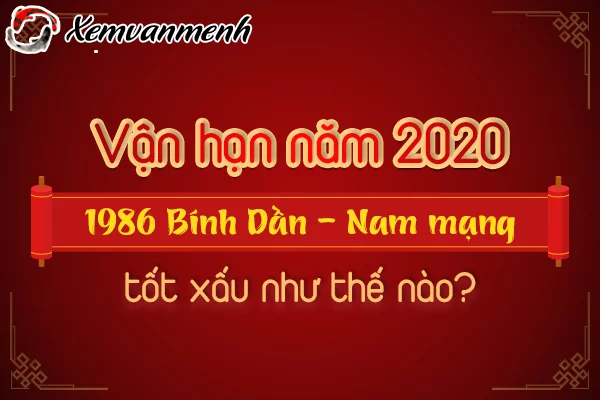 1986-van-han-tuoi-binh-dan-nam-2020-nam-mang
