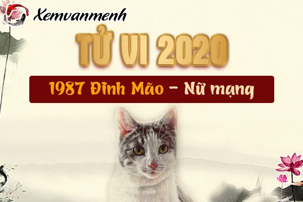 Xem phong thủy nhà ở năm 2020 cho người tuổi Đinh Mão sinh năm 1987