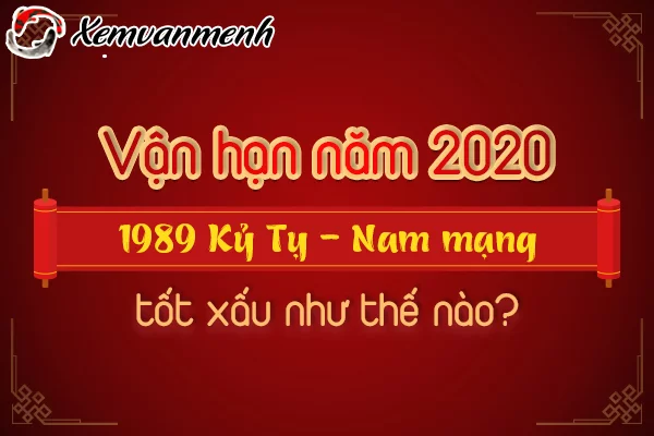 1989-van-han-tuoi-ky-ty-nam-2020-nam-mang