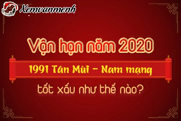 1991-van-han-tuoi-tan-mui-nam-2020-nam-mang