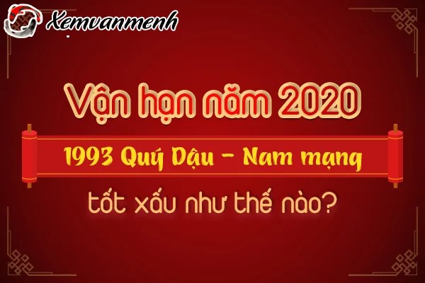 1993-van-han-tuoi-quy-dau-nam-2020-nam-mang