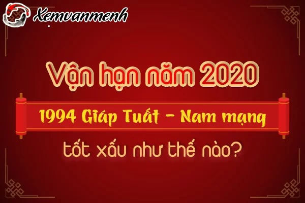1994-van-han-tuoi-giap-tuat-nam-2020-nam-mang