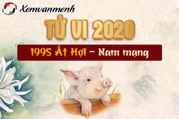 Xem Tử Vi Năm 2020 Tuổi Ất Hợi 1995 Nam Mạng