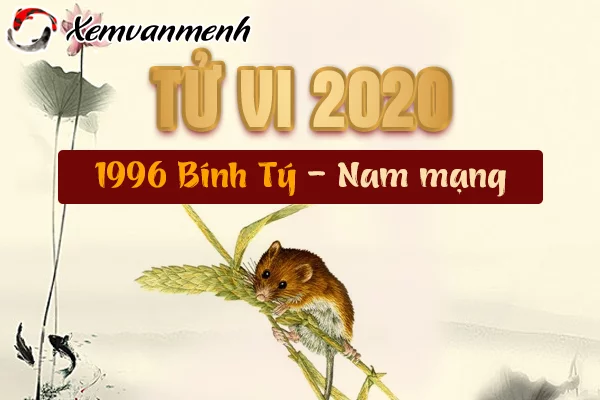 1996-xem-tu-vi-tuoi-binh-ty-nam-2020-nam-mang