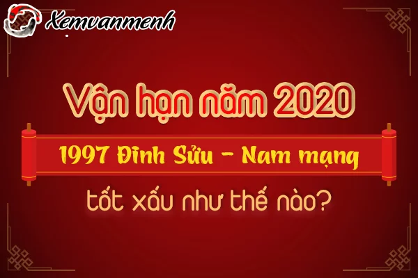1997-van-han-tuoi-dinh-suu-nam-2020-nam-mang