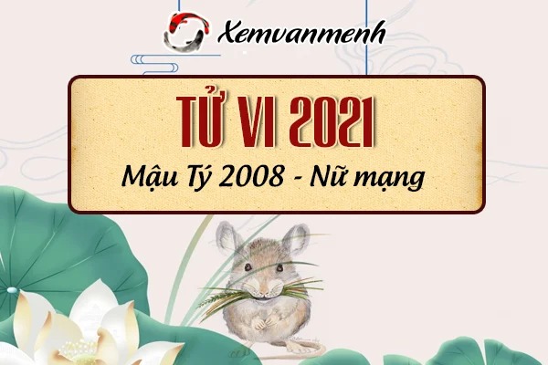 2008-xem-boi-tu-vi-tuoi-mau-ty-nu-mang