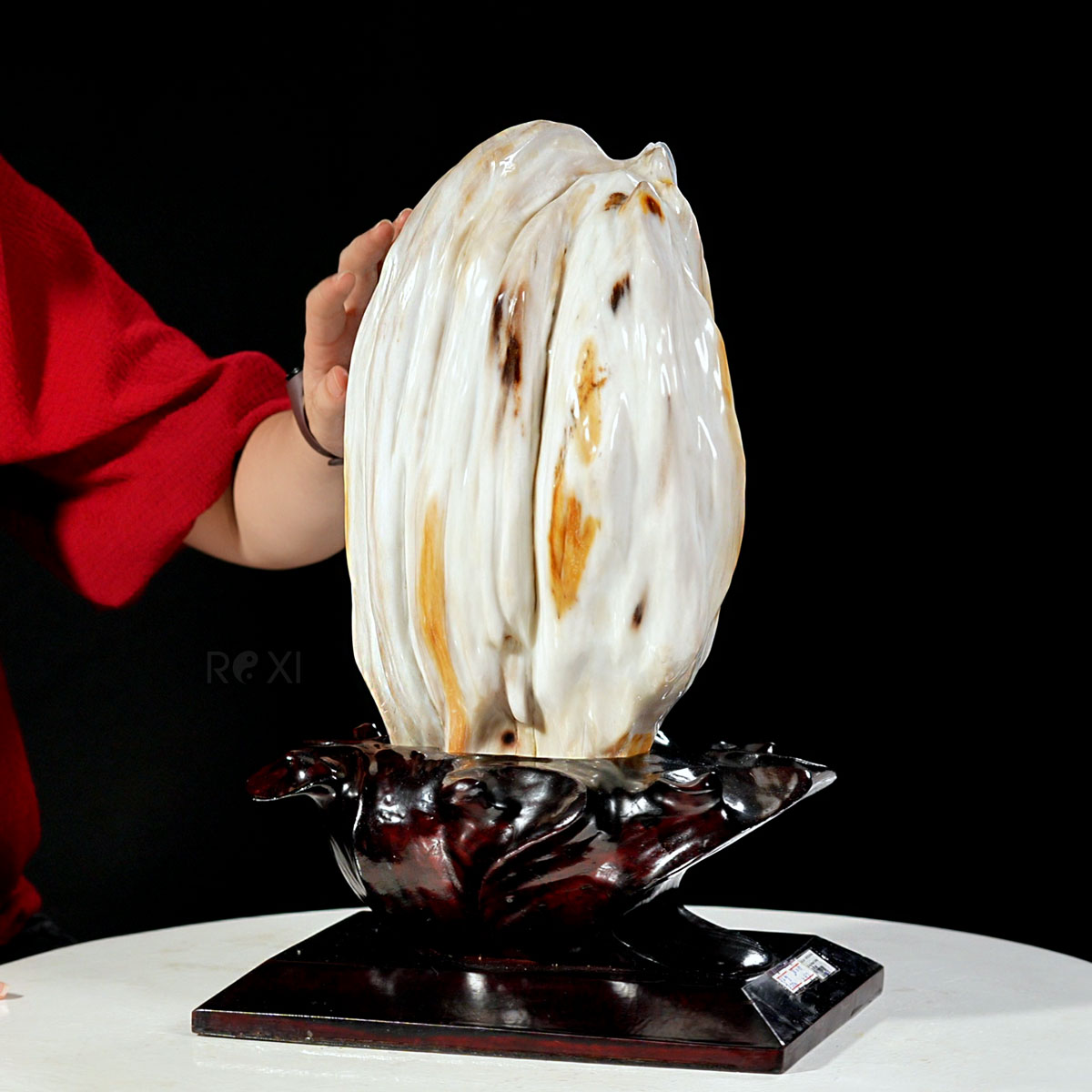 Gỗ hóa thạch (Gỗ hóa ngọc) 9,6kg Gỗ hóa thạch (Gỗ hóa ngọc) 9,6kg