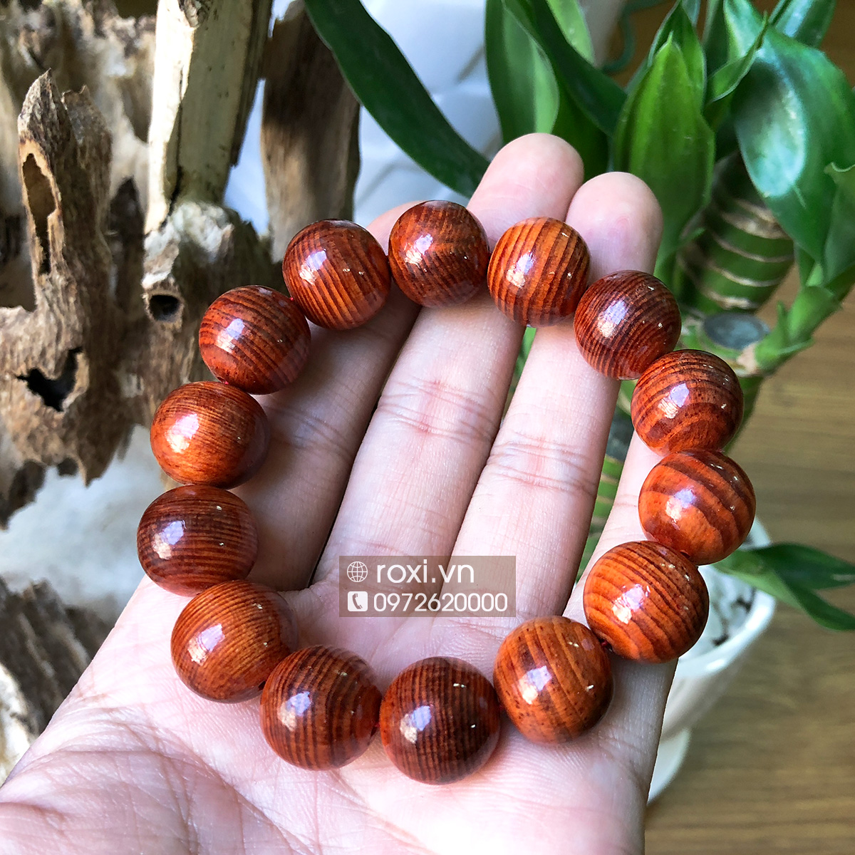 VÒNG TAY THÂN GỖ HUYẾT RỒNG HẠT TRÒN 14 LY