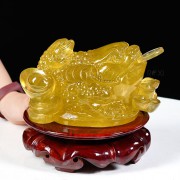 THIỀM THỪ - CÓC NGẬM TIỀN