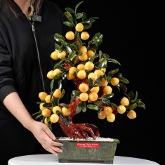 CÂY ĐÀO VÀNG NGỌC HOÀNG LONG 48 QUẢ