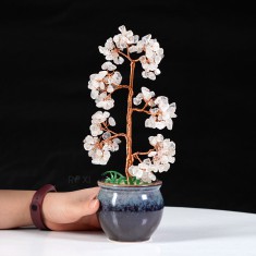 CÂY ĐÁ TÀI LỘC THẠCH ANH TRẮNG (MẪU 6)