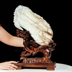 GỖ HÓA THẠCH (GỖ HÓA NGỌC) 4,87KG - CAO 48CM