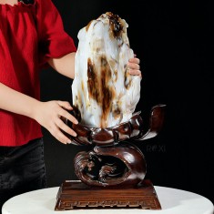 GỖ HÓA THẠCH (GỖ HÓA NGỌC) 9,66KG - CAO 55CM