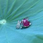 NHẪN HỒ LY VÀNG TRẮNG + MẶT ĐÁ RUBY TỰ NHIÊN