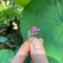 NHẪN HỒ LY VÀNG TRẮNG + MẶT ĐÁ RUBY TỰ NHIÊN