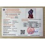 ĐÁ TRẤN THẠCH ANH TÍM 9,37KG NGUYÊN ĐÁ (CAO 42CM)