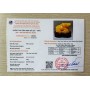 TRÂU VÀNG TÀI LỘC 22CM