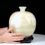 BÌNH HÚT LỘC NGỌC ONYX 12KG (BINHHL311)