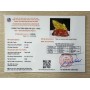LONG QUY THẠCH ANH VÀNG 2,25KG