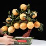 CÂY ĐÀO VÀNG NGỌC HOÀNG LONG 12 QUẢ