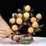 CÂY ĐÀO VÀNG NGỌC HOÀNG LONG 12 QUẢ (CHẬU TRÒN)