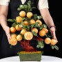 CÂY ĐÀO VÀNG NGỌC HOÀNG LONG 18 QUẢ