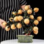 CÂY ĐÀO VÀNG NGỌC HOÀNG LONG 18 QUẢ (MẪU 3)