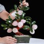 CÂY ĐÀO ĐÁ THẠCH ANH HỒNG 9 QUẢ (MẪU 2)