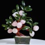 CÂY ĐÀO ĐÁ THẠCH ANH HỒNG 9 QUẢ (MẪU 2)