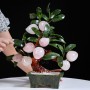 CÂY ĐÀO ĐÁ THẠCH ANH HỒNG 9 QUẢ (MẪU 2)