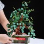 CÂY NHO ĐÁ THẠCH ANH XANH