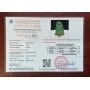 ẤN RỒNG THẠCH ANH XANH 4KG - 20CM