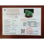 THIỀM THỪ FLUORIT XANH 2,1KG