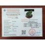 THIỀM THỪ NGỌC BÍCH 0,97KG