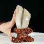 GỖ HÓA THẠCH -  GỖ HÓA NGỌC 0,52KG