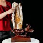GỖ HÓA THẠCH (GỖ HÓA NGỌC) 10,53KG - CAO 64CM