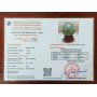 QUẢ CẦU FLUORIT XANH 7,51KG - 16,6CM