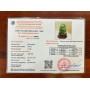 TÁC PHẨM BỒNG LAI TIÊN CẢNH THẠCH ANH XANH 23CM