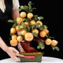 CÂY ĐÀO ĐÁ NGỌC HOÀNG LONG 18 QUẢ