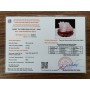 THIỀM THỪ THẠCH ANH HỒNG 2,84KG