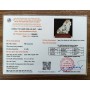TÁC PHẨM NHÂN SÂM KIM TIỀN TÀI LỘC NGỌC ONYX
