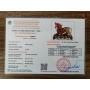 TỲ HƯU MÃ NÃO 550GAM - 15CM