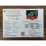 CẶP TỲ HƯU THẠCH ANH XANH 4,1KG - 20CM